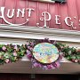 Tokyo DisneySea - American Waterfront - Spring Voyage Decorations