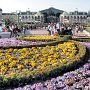 Tokyo Disneyland - Hub Flowers