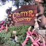 Tokyo Disneyland - Critter Country