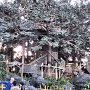 Tokyo Disneyland - Adventureland - Swiss Family Treehouse