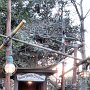 Tokyo Disneyland - Adventureland - Swiss Family Treehouse