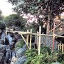 Tokyo Disneyland - Adventureland - Swiss Family Treehouse