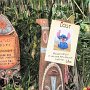 Tokyo Disneyland - Adventureland - Enchanted Tiki Room