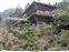 Miyajima Island - Pagoda