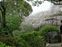 Heian Shrine Gardens