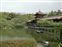 Heian Shrine Lake Pavilion