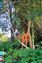 Giraffe Sculpture in the Bushes