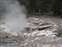 Norris Geyser Basin - Back Basin - Forgotten Fumerole