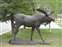 Bronze Moose at Jackson Visitor Center